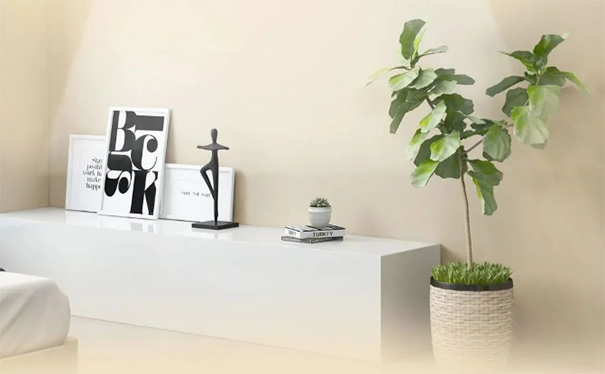 墻面臟污、發(fā)霉、不整潔怎么辦？