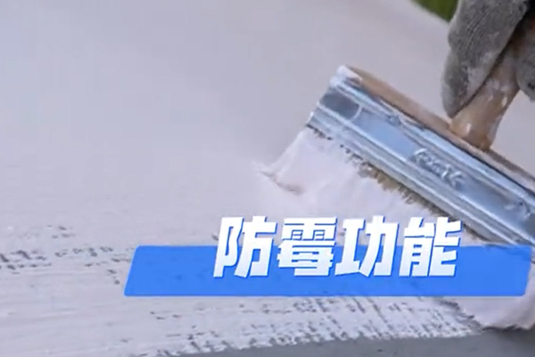 無機防霉涂料是什么意思?